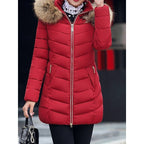 Damen Steppjacke tailliert mit Kapuze – Produktfoto – Noravolo